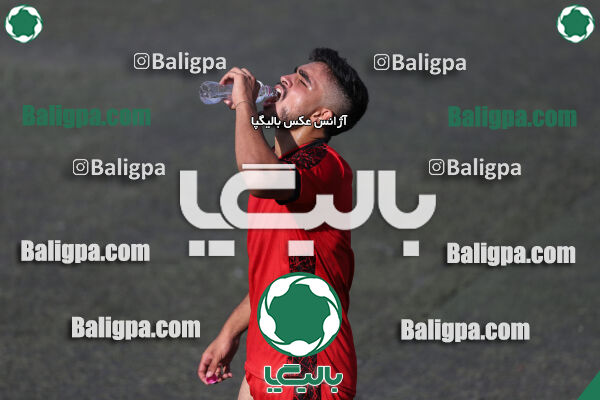 کیا 1–1 شاهین