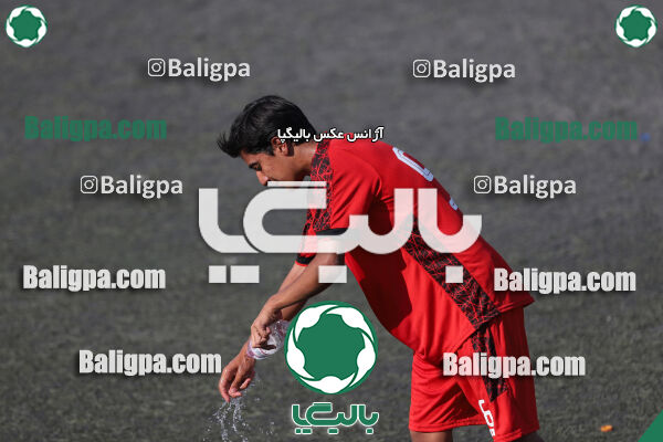 کیا 1–1 شاهین