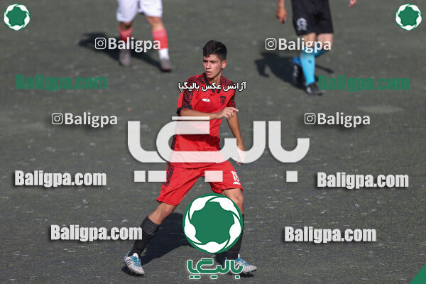 کیا 1–1 شاهین