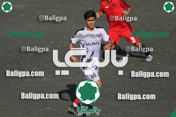 کیا 1–1 شاهین