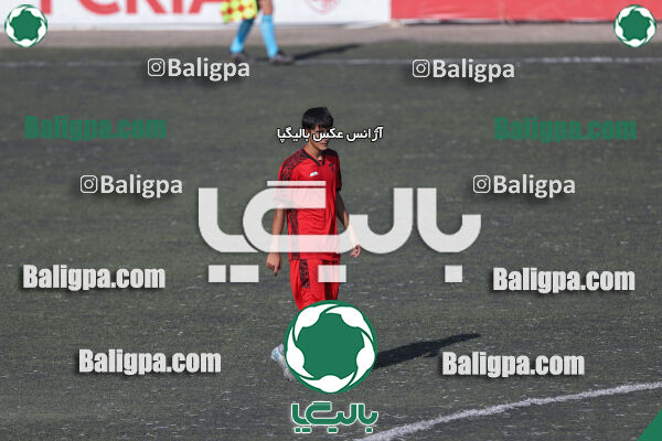 کیا 1–1 شاهین
