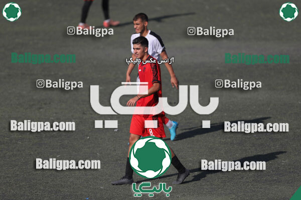 کیا 1–1 شاهین