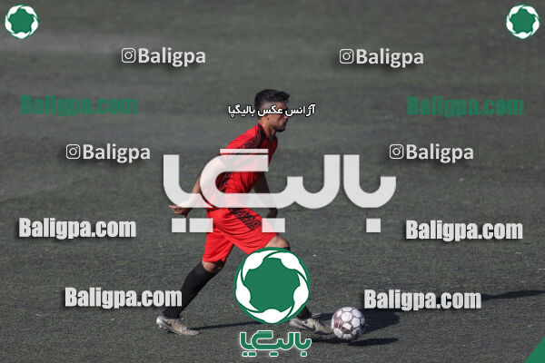 کیا 1–1 شاهین