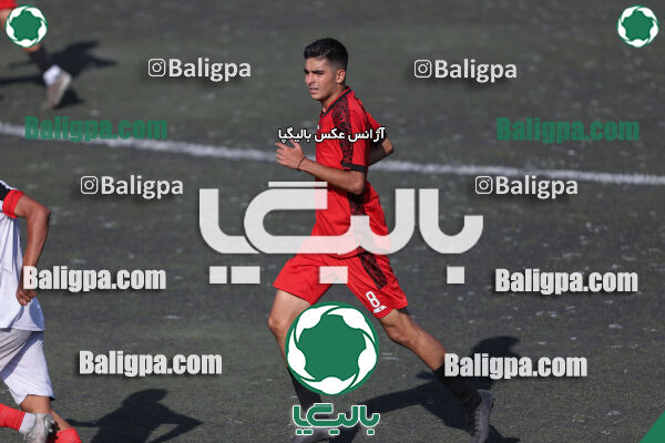 کیا 1–1 شاهین