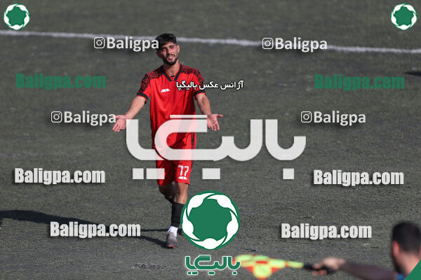 کیا 1–1 شاهین