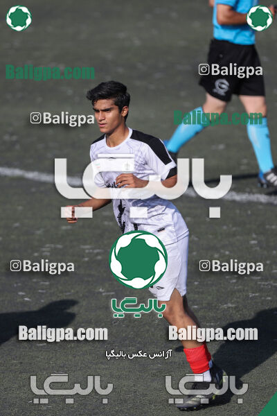 کیا 1–1 شاهین