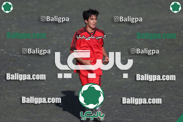 کیا 1–1 شاهین