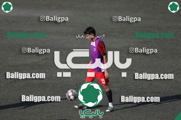 کیا 1–1 شاهین