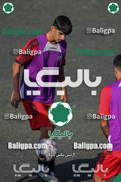 کیا 1–1 شاهین