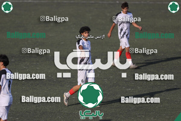 کیا 1–1 شاهین