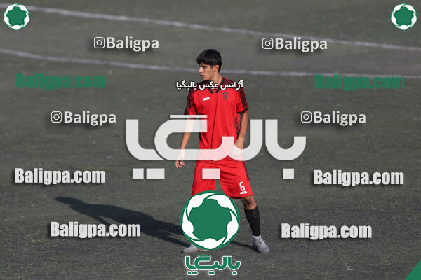 کیا 1–1 شاهین