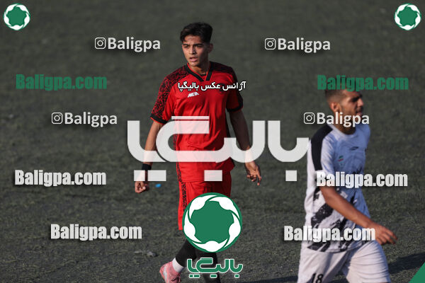 کیا 1–1 شاهین