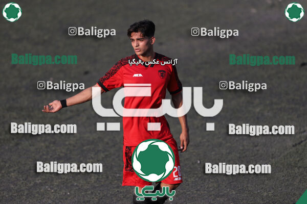 کیا 1–1 شاهین