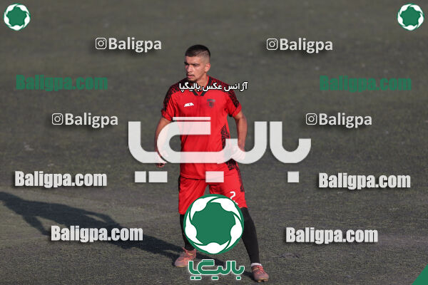 کیا 1–1 شاهین