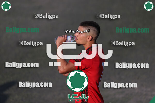 کیا 1–1 شاهین
