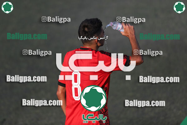 کیا 1–1 شاهین