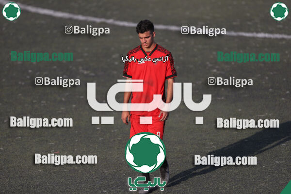 کیا 1–1 شاهین