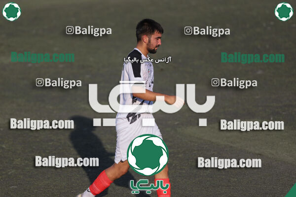 کیا 1–1 شاهین