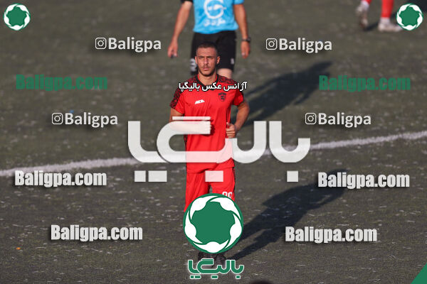 کیا 1–1 شاهین
