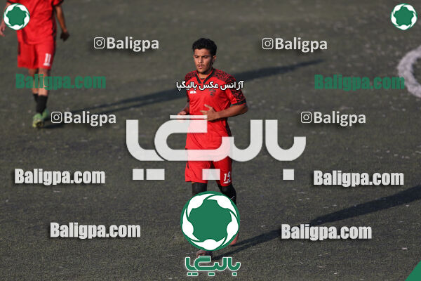 کیا 1–1 شاهین