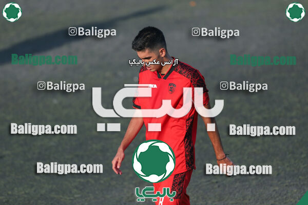 کیا 1–1 شاهین