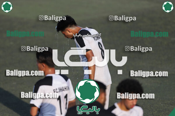 کیا 1–1 شاهین