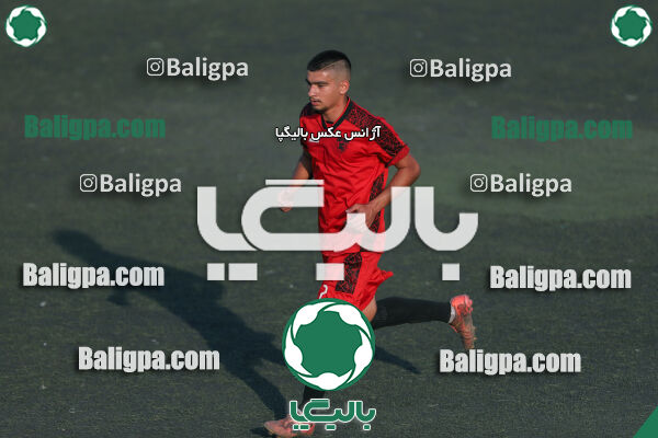 کیا 1–1 شاهین