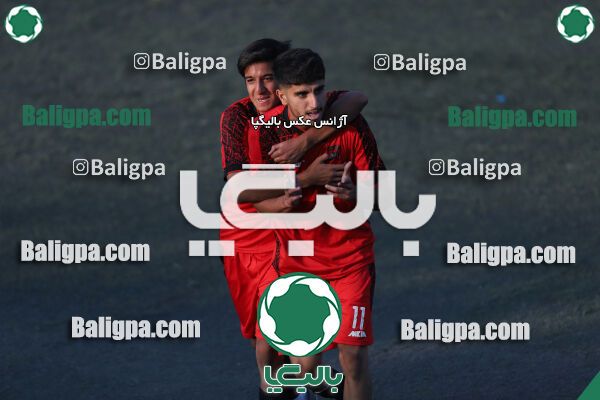 کیا 1–1 شاهین