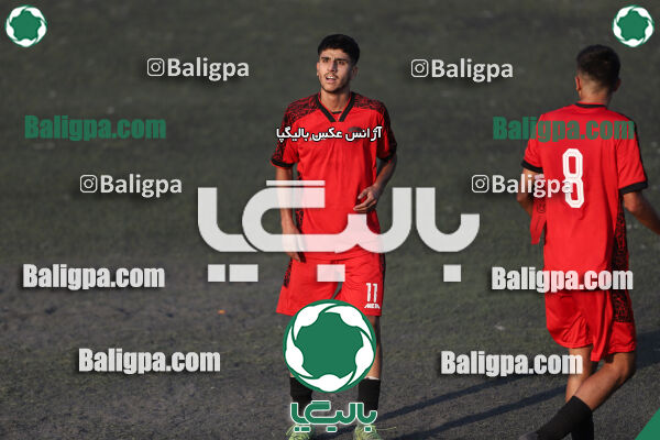 کیا 1–1 شاهین