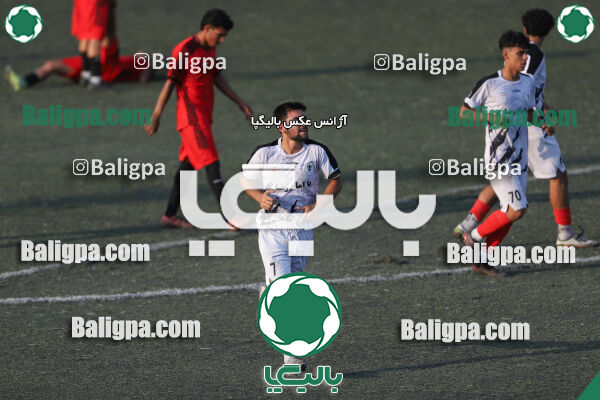 کیا 1–1 شاهین