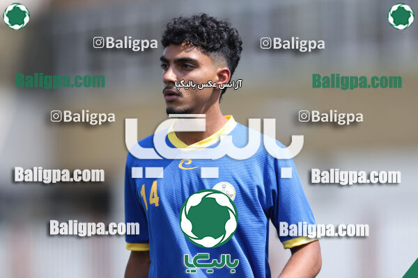 داماش پارسه ۳ - ۱ عقاب