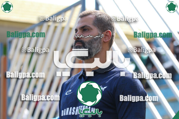 داماش پارسه ۳ - ۱ عقاب
