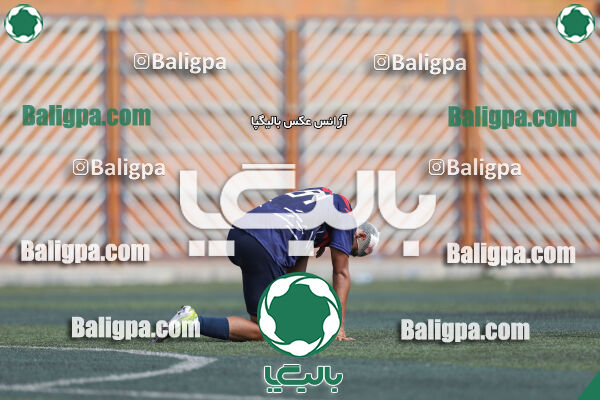 داماش پارسه ۳ - ۱ عقاب