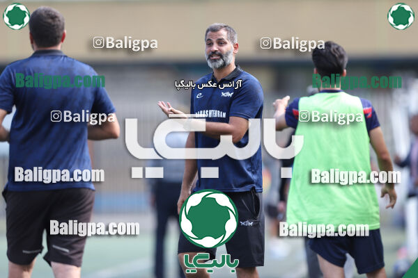 داماش پارسه ۳ - ۱ عقاب