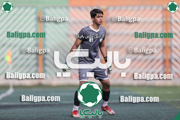 داماش پارسه ۳ - ۱ عقاب