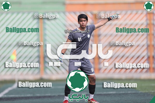 داماش پارسه ۳ - ۱ عقاب