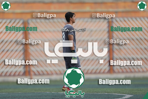 داماش پارسه ۳ - ۱ عقاب