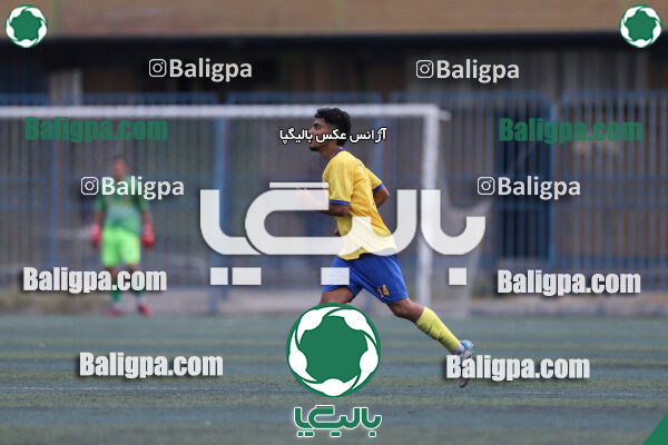 داماش پارسه ۳ - ۱ عقاب