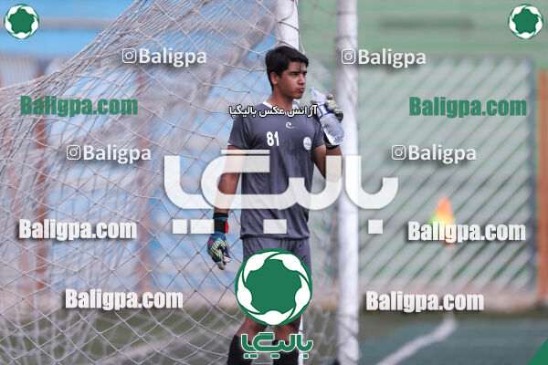 داماش پارسه ۳ - ۱ عقاب