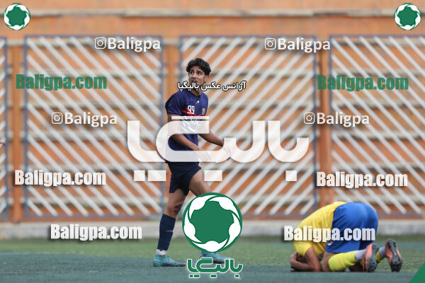 داماش پارسه ۳ - ۱ عقاب