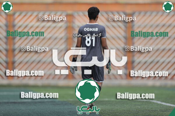 داماش پارسه ۳ - ۱ عقاب