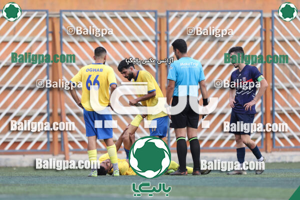 داماش پارسه ۳ - ۱ عقاب