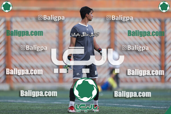 داماش پارسه ۳ - ۱ عقاب
