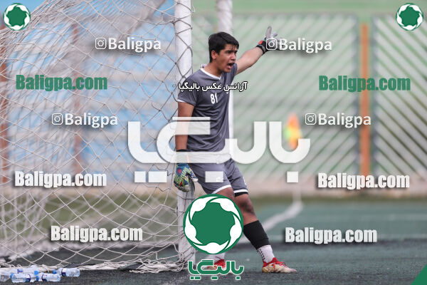 داماش پارسه ۳ - ۱ عقاب