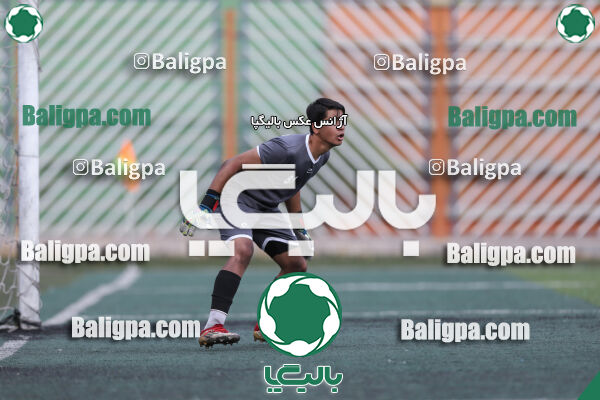 داماش پارسه ۳ - ۱ عقاب