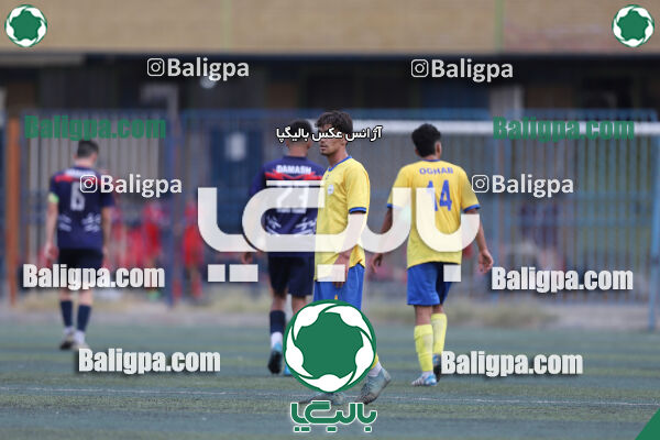 داماش پارسه ۳ - ۱ عقاب