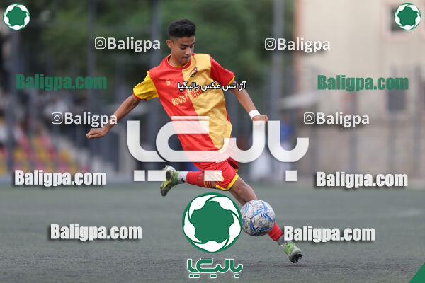 دوستی مهر 0–1 حامی