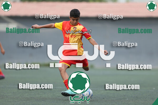 دوستی مهر 0–1 حامی