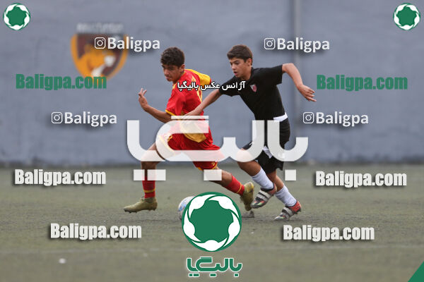 دوستی مهر 0–1 حامی