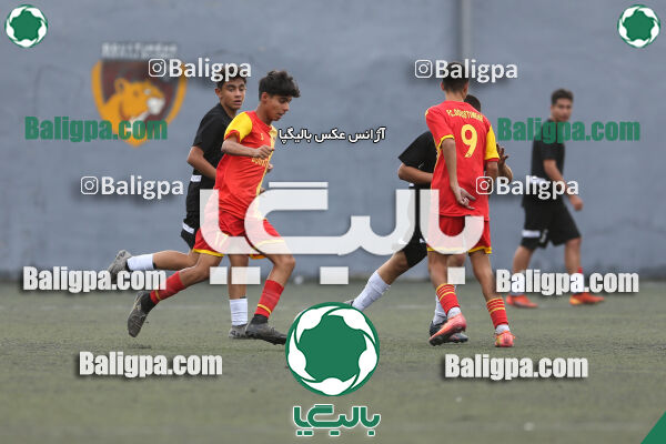 دوستی مهر 0–1 حامی